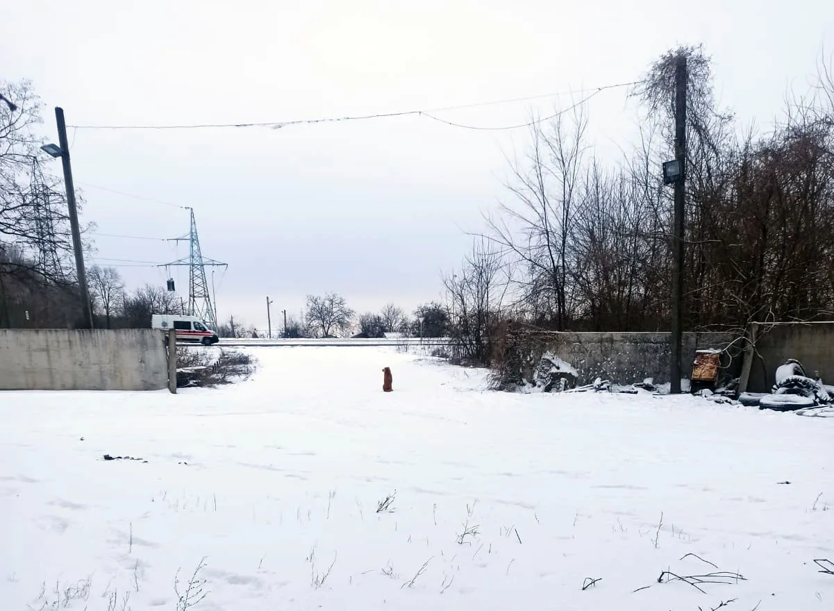 СТО Складський комплекс та вантажний шиномонтаж на в'їзді в Дніпро СТО Складський комплекс та вантажний шиномонтаж на в'їзді в Дніпро